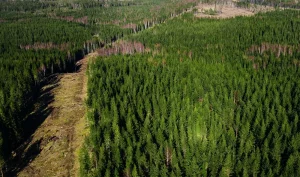 Håksberg – ett fält med riktigt gamla anor